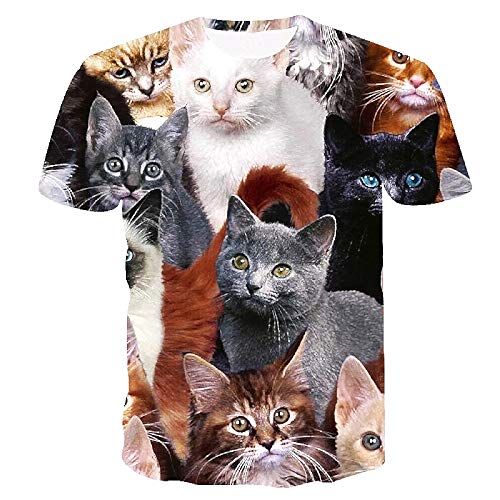 Inception Pro Infinite Maglia - T-Shirt Gattino