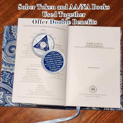 Image of Recovery Triangle 7 Month Sobriety Coin - Silver Roman Numeral NA AA Coins - 1-40 Prime NA /HA /AA Chips and Medallions - Narcotics Alcoholics Anonymous Sober Gifts for Men Women