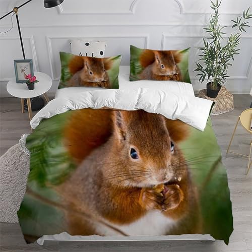 Housse de couette écureuil microfibre infroissable lit 220x240 - 6