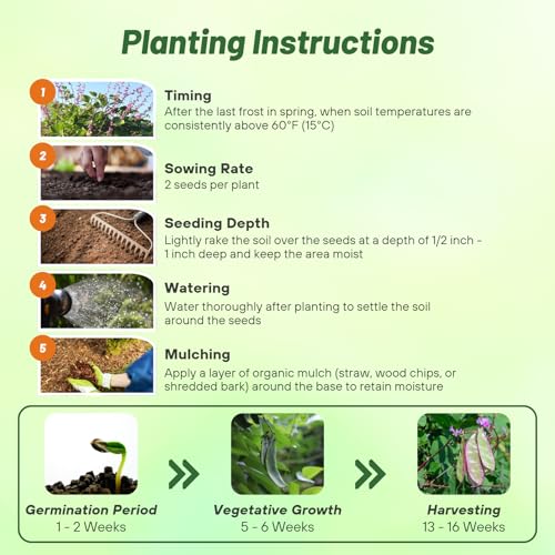 Image of Outsidepride Green Lablab Hyacinth Bean Vine Seeds - 200 Pcs Perennial, Fast Growing Vegetable Seeds for Planting with Fragrant Foliage for Garden & Edible Flower and Pods for Culinary Uses