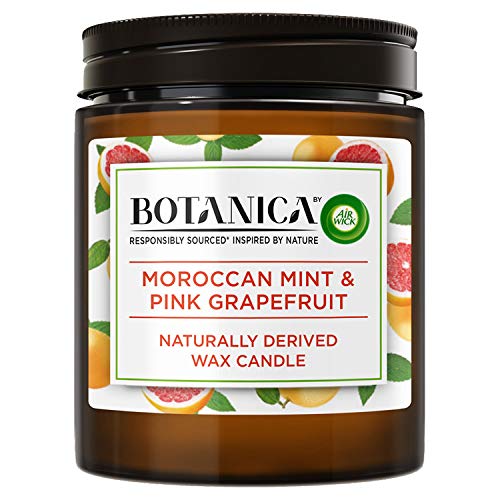 Freshener Naturally Derived Wax Candle, MINT & PINK GRAPEFRUIT, Up to 40 Hours Burn Time