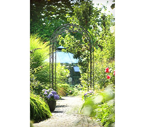 Dehner Rosenbogen Cornwall, ca. 236 x 118 x 31 cm, Metall, grau/schwarz, dunkelgrau