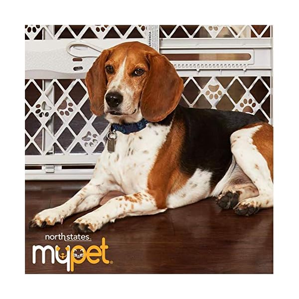 North States MyPet Windsor-Bogengitter, 183 cm, extra breit, bietet Sicherheit in extra Breiten Räumen. Hardware… – Bild 8