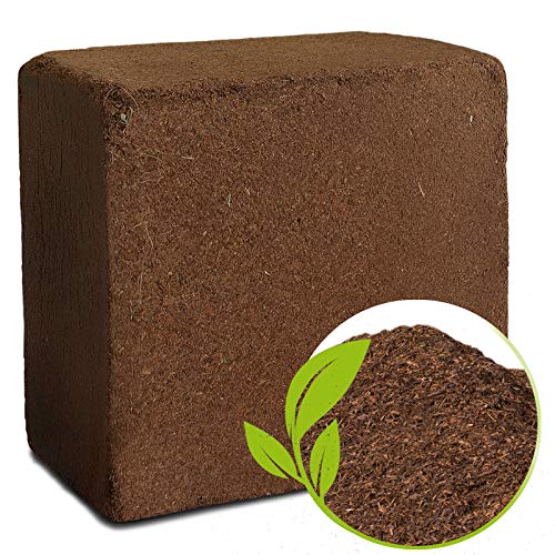 Fibre de coco tous les avantages de cette fibre naturelle résistante