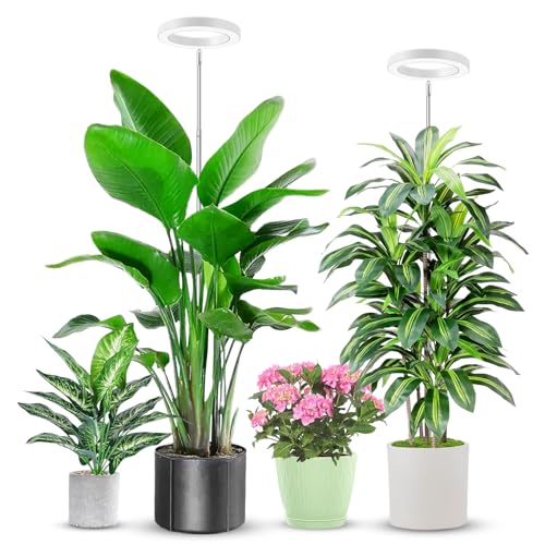 Image of Aokrean Grow Lights for Indoor Plants, 6000K Full Spectrum Plant Grow Lights, Height Adjustable 10 inch-65 inch Growing Lamp, Automatic Timer 6 /12 /16Hrs, 5-Level Dimmable, Idea for Large Plant, 2 Pack
