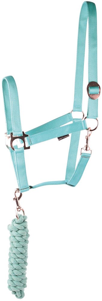Licol Harry's Horse turquoise taille Cob résistant pour éviter les fuites