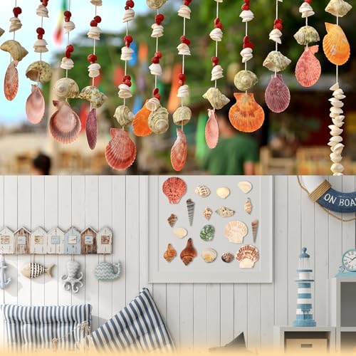 GOSHIES Muscheln Gemischt 500g Muscheln Deko Natürliche Muscheln de Verschiedene Größen, Perfekt für Party Hochzeit Dekor, DIY Kunsthandwerk