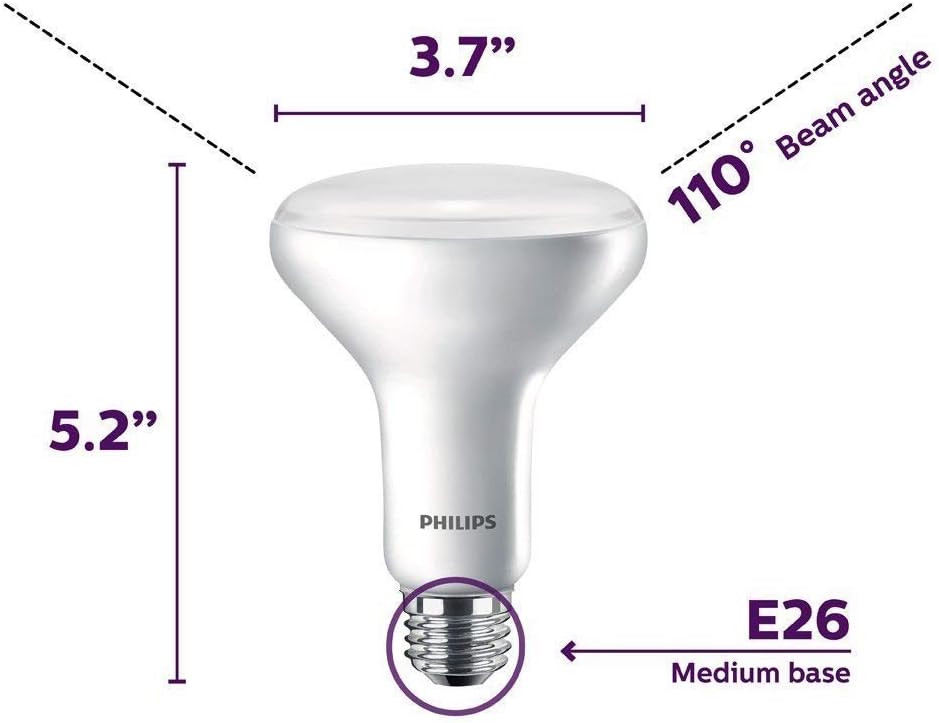 Philips LED BR30 Dimmable 650-Lumen, 5000-Kelvin, 9-Watt (65-Watt Equivalent) Flood Light Bulb with E26 Medium Base, Daylight, 12-Pack