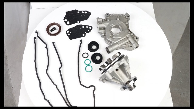 Amazon.com: 5.4L Timing Chain Kit with Water Pump Oil Pump Cam