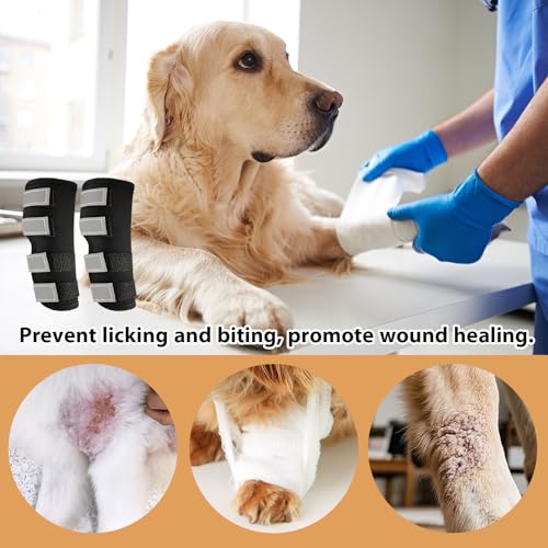 CUVZORA Hinterbeinbandage für Hunde 2 Einheiten mit Reflektierenden Riemen, Hundebandagen zur Wundheilung bei Verletzungen und Verstauchungen, für Leckschutz Hund Hinterbein Gelenktabletten,M