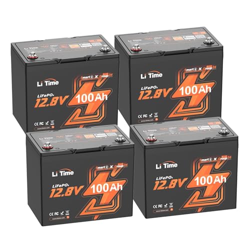 Image of Litime 4 Packs 12V 100Ah LiFePO4 Battery, Group 24 Lithium Batteries for RV