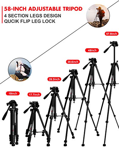 KINGJOY Compact Light Weight Tripods, Travel Portable Camera Aluminum Tripod with Fluid Head for Photography Video Shooting, Support Canon Nikon Sony DSLR Camcorder with Carry Case, Black, VT-860