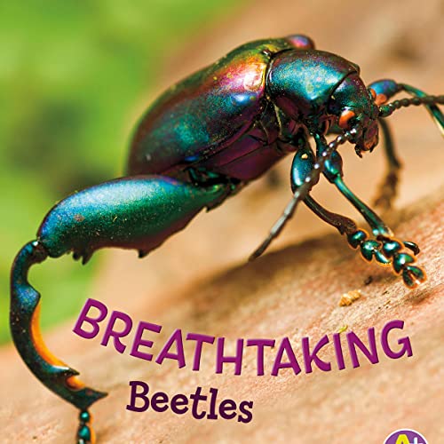 Breathtaking Beetles by Catherine Ipcizade episode artwork