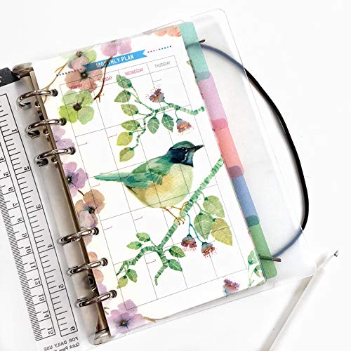 21,6 cm/15,2 cm Kunststoff A5/A6 6-holes Cover rund Ring View Binder Datei Ordner für lose Leaf Tabelle Protectors Binder/Schutzhülle Displayschutzfolie (Divider Brid, A6/17cm*10cm/6 Inch)