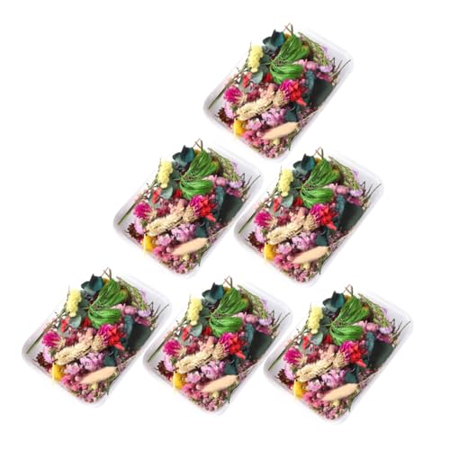 Materiales de Flores Secas Naturales Unomor para Manualidades miniatura 1