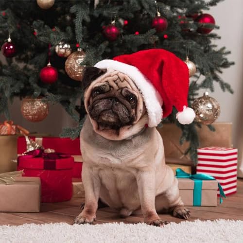 KAILIYA 5 Pack Plush Christams Hat Red Velvet Santa Hat with Comfort Warm Lining for Xmas Party Adul