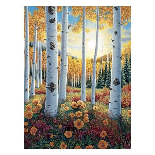 G A G |Lbg yCgoCio[ zCgc[ Lbg  ANG̋ M LoX 40 x 55cm EH[A[g  LoXGpLrO[Q̉Ƃ̑ Ǐ Mtg JLYH-5300