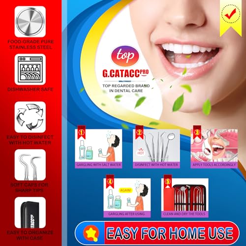 image for G.CATACC Dental Tools, Dental Pick Teeth Cleaning Tools Hygiene Kit, P