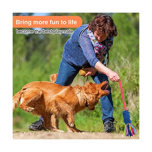Grip Friendly Large Dog Toy