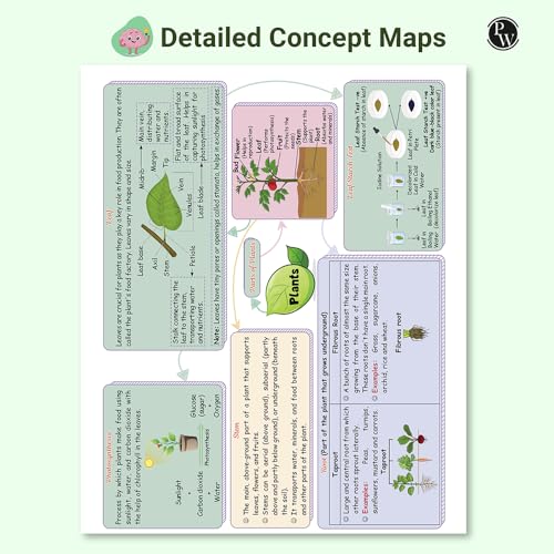 Image of PW Olympiad Books for Class 4 2026-27 - Science & Mathematics Workbook | IMO, NSO Olympiad Prep | Chapterwise MCQs, PYQs, Concept Maps & Achievers Section (Set of 2 Books)