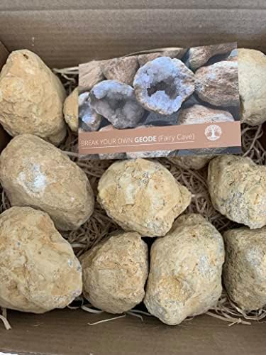 Shropshire Crystals Break Your Own Geodes - Perfect for Science Discovery & Learning (4-7cm)