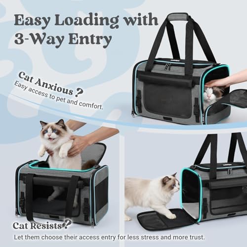 rabbitgoo Cat Carrier Soft with Rollable Flap, Travel Safe for Car Airline | Comfortable for Anxious Kittens, Collapsible Portable Carrying Bag, Small Medium Cats, Escape Proof, Grey, 17"Lx11"Wx11"H - Image 5