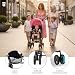 Imagen de Asalvo TROTTER PLUS Silla de Paseo, Carrito bebé