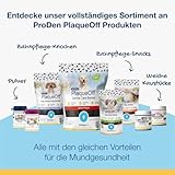 ProDen PlaqueOff Kauknochen für Hunde Zahnpflege, Pack mit 13 Knochen, Dental Sticks für mittelgroße und große Hunde, Dental Knochen für Plaque und frischen Atem, Huhn & Kürbis