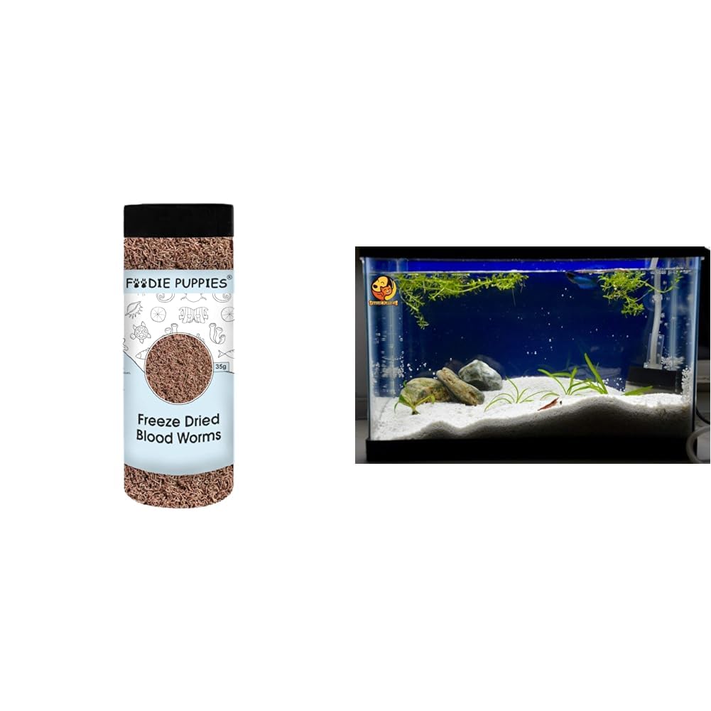 Foodie Puppies Freeze Dried Blood Worms 35g & Foodie Puppies Natural Sugar Size (2.5Kg, White Sand) Gravel