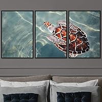 3 Piece Framed Canvas Wall Art Turtle Under The Surface Canvas Prints Home Artwork Decoration for Living Room,Bedroom - 16