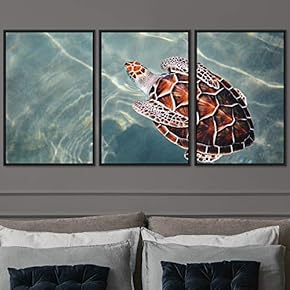 signwin 3 Piece Framed Canvas Wall Art Turtle...