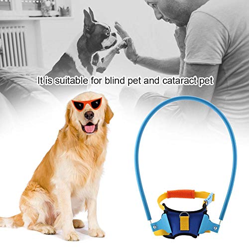 Mascotas, Imagen adicional