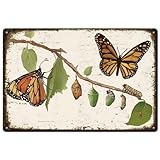 SUPERDANT Cartel de estaño Mariposa Metal Póster Divertido Arte de Pared Plaquetas Pintura de Estaño Salón Dormitorio Bar Garajes Oficina Restaurante Hogar Decoración Regalos Decoración de Pared 30 x