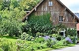 HANSEPUZZLE- Hochwertige Puzzles mit passgenauen Teilen und Premium Verpackung sind unsere Spezialität! Von Puzzle-Anfänger bis fortgeschrittene Puzzle-Profis - für jeden ist etwas dabei!