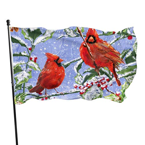 Bandera decorativa para exteriores de 3 x 5 pies, bandera grande de jardín, invierno, Navidad, pájaros de acebo, bandera divertida de color vivo, bandera de barlovento, bandera de poliéster para