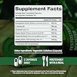 Testosterone Booster Supplement for Men - Male Enhancing Test Boost - Ashwagandha, L-Arginine, Tongkat Ali, Tribulus + More - Workout, Build Muscle, Strength, Energy & Performance - 2 Month Supply - Image 2