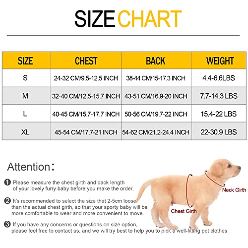 Patas Lague No Pull Dog Harness With Leash Set, Adjustable Reflective Dog Vest Harness For Medium Dogs, Step-In Pet Harness With Soft Padded Vest (Red) #TOP5