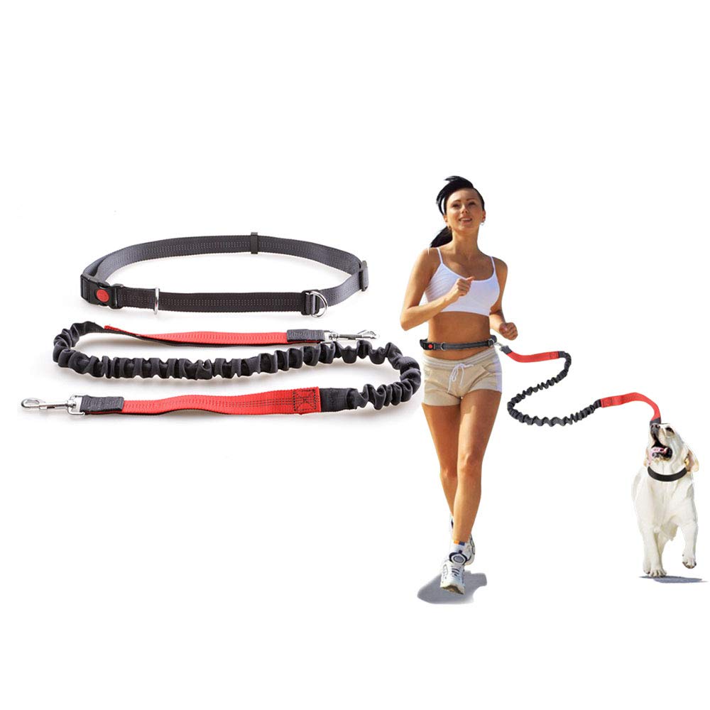 Night Reflective Elastic Nylon Breakaway Leashes Running Hand Free Waist Belt Jogging Leads Retractable Leash For Small Pet Dogs