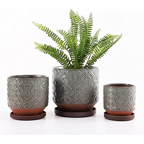 Fengson Large Ceramic Planters with Saucer,Set of 3 Plant Pots for Indoor/Outdoor Plants,8+6+5 inch Flower Pots with Drainage Holes,Small to Large Size Cylinder Planters Pot for Plants(Dark Green) Cover