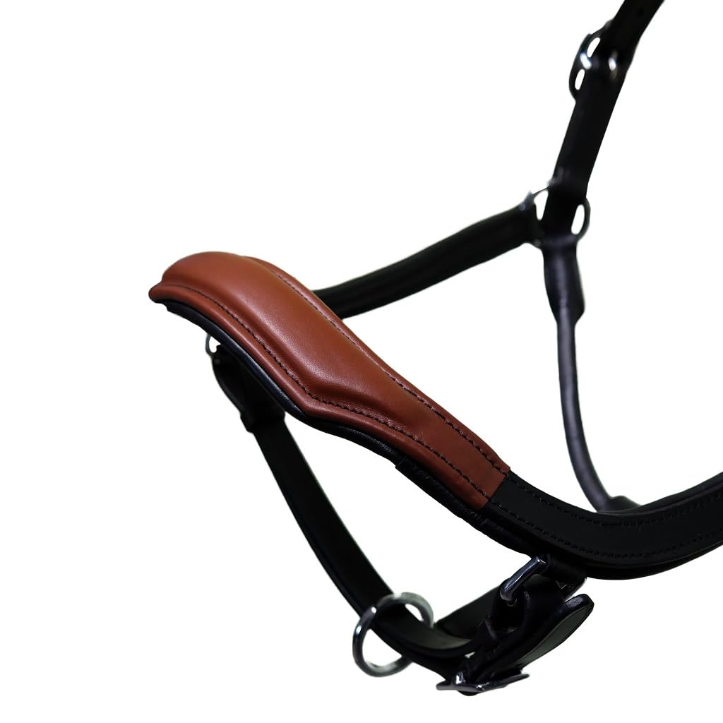 Brama West Pferderhalfter Leder Halfter Atlanta anatomisch 2-Fach verstellbar, Gr. Full