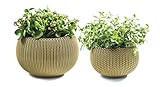 Keter Cozies Plastic Planters Set of 2, Knit Texture, Small & Medium Pots with Removable Liners, Citrus Green