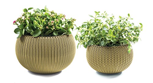 Keter Cozies Plastic Planters