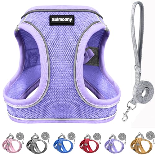 Solmoony Sparkly XXXS Dog Harness and Leash Set Step in Soft Light Puppy Vest Breathable Reflective Pet Harness for Walking Puppy Harness for Small Dogs Cats (Purple XXXS)