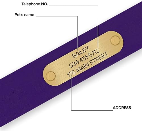 Miniatura 24 de Regal Dog Products Collares de perro grandes, impermeables, color rosa, con placa de nombre grabada personalizada, revestimiento de vinilo, anti