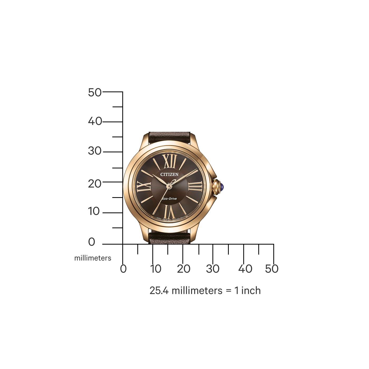 CITIZEN Orologio da donna Eco-Drive Solar con cinturino in pelle e numeri romani