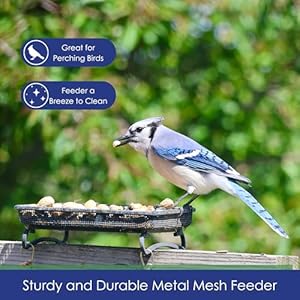 Wildlifeandbirdfeederdeckandgroundtrayfeederforbirdssquirrelschipmunksandrabbits Urban Country Home Decor Wildlife and bird feeder deck and ground tray feeder for birds squirrels chipmunks and rabbits urban country home decor