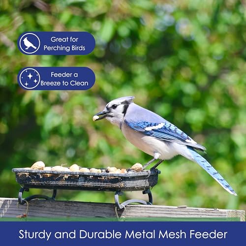 Wildlifeandbirdfeederdeckandgroundtrayfeederforbirdssquirrelschipmunksandrabbits Urban Country Home Decor Wildlife and bird feeder deck and ground tray feeder for birds squirrels chipmunks and rabbits urban country home decor