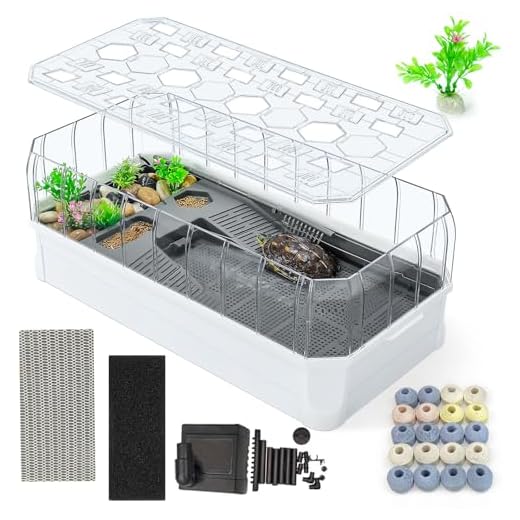 How to care for gray tree frog tadpoles Innovative Turtle Aquarium Tank with Filter