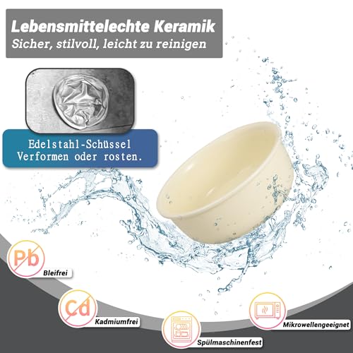Hundenapf Set Erhöht Hundenäpfe Keramik - Fressnapf Hund 2er Set mit Rutschfestem Metallständer - Doppelnapf Hund für Futter und Wasser - Ideal für Kleine und Mittelgroße Hunde - 2 x 800 ml - Beige