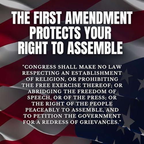 America’s No King’s Rally 1765 – 2025 – Why Hating Tyranny is as American as Apple Pie cover art